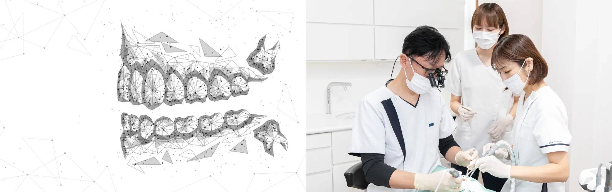 原因療法による本質を見抜いた一生涯を見据える総合診断